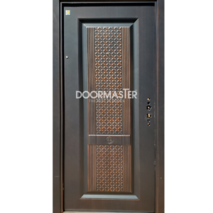 Antfade Exterior Door DM171T